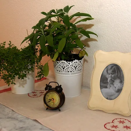 Natura Jurjević Makarska
