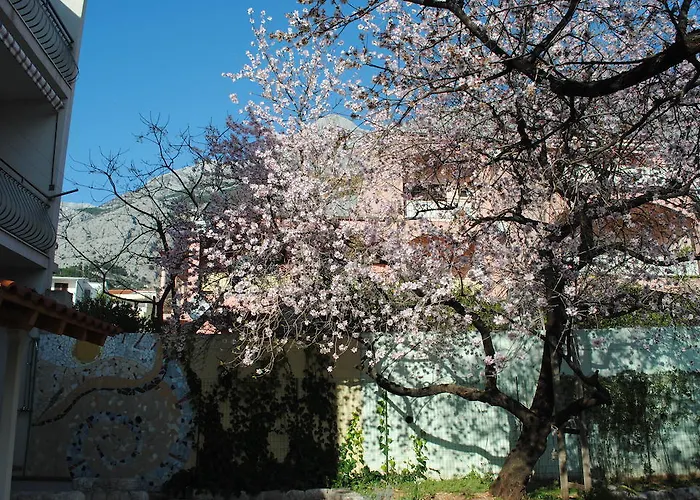 Natura Makarska
